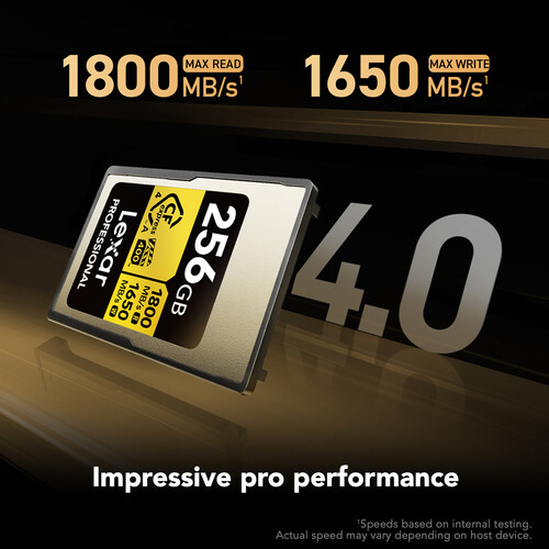 Lexar 256GB Professional GOLD CFexpress 4.0 Type A Memory Card - Image 2
