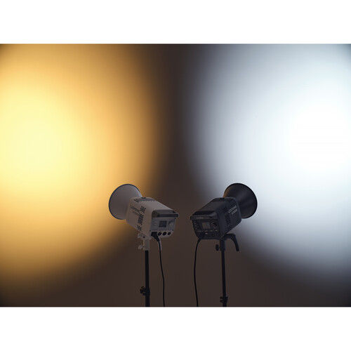 Godox Litemons LE300Bi Bi-Color LED Monolight (White) - Image 3